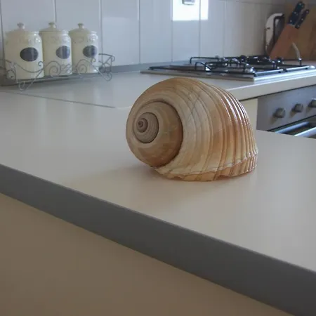 Antonia * トロギール